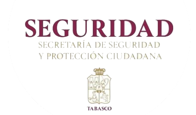 Secretaria de Seguridad Pública